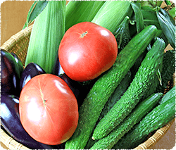 fresh home vegetables